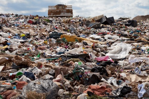 Professional waste removal team at work